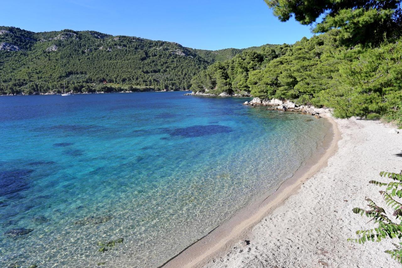 Apartments With A Parking Space Zuljana, Peljesac - 4574 Εξωτερικό φωτογραφία