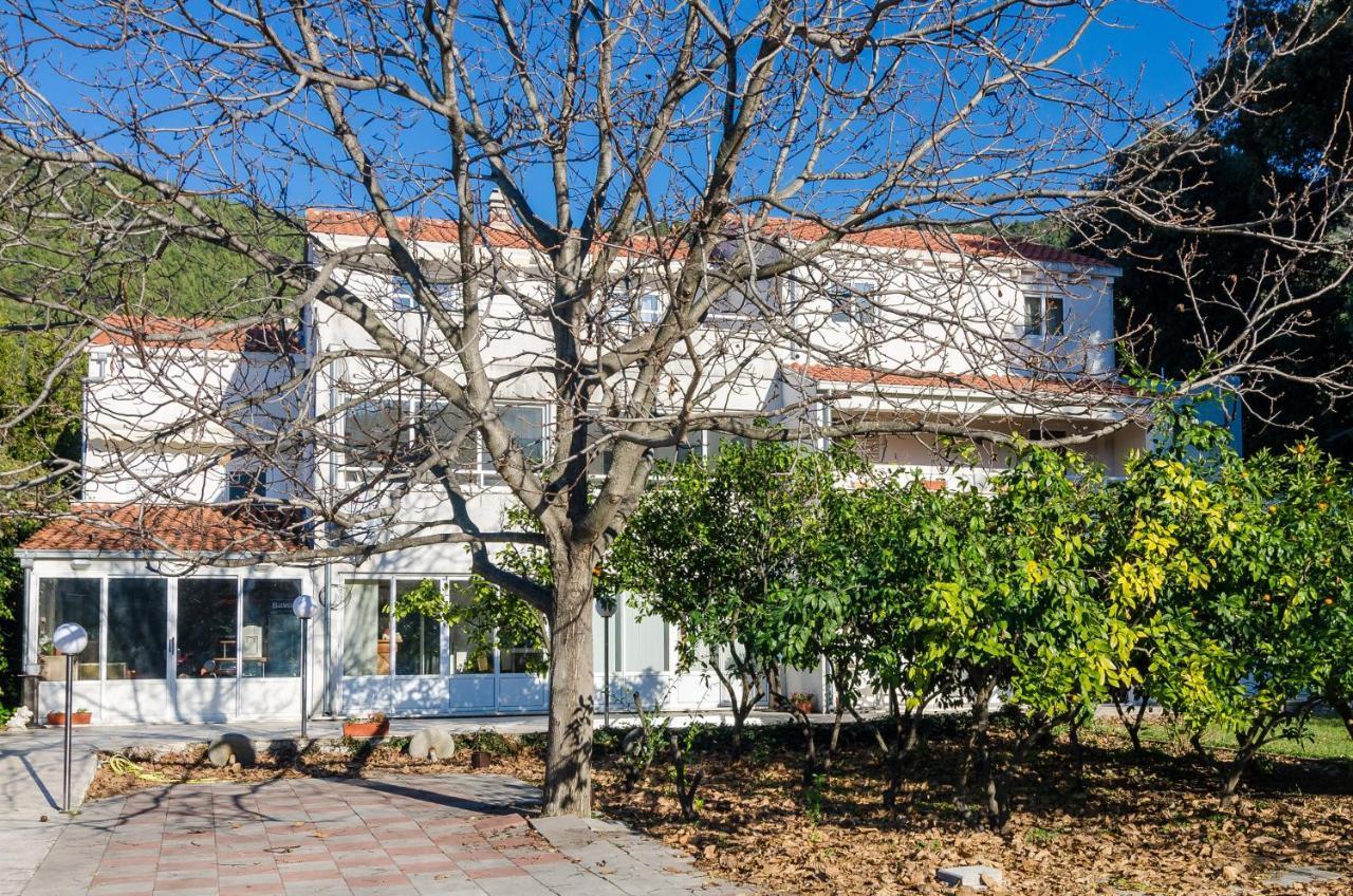Apartments With A Parking Space Zuljana, Peljesac - 4574 Εξωτερικό φωτογραφία
