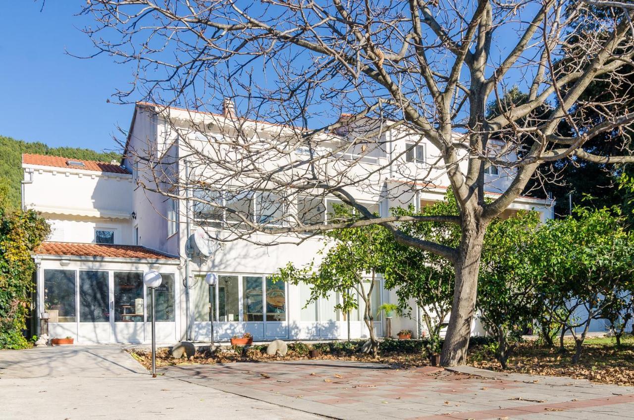 Apartments With A Parking Space Zuljana, Peljesac - 4574 Εξωτερικό φωτογραφία