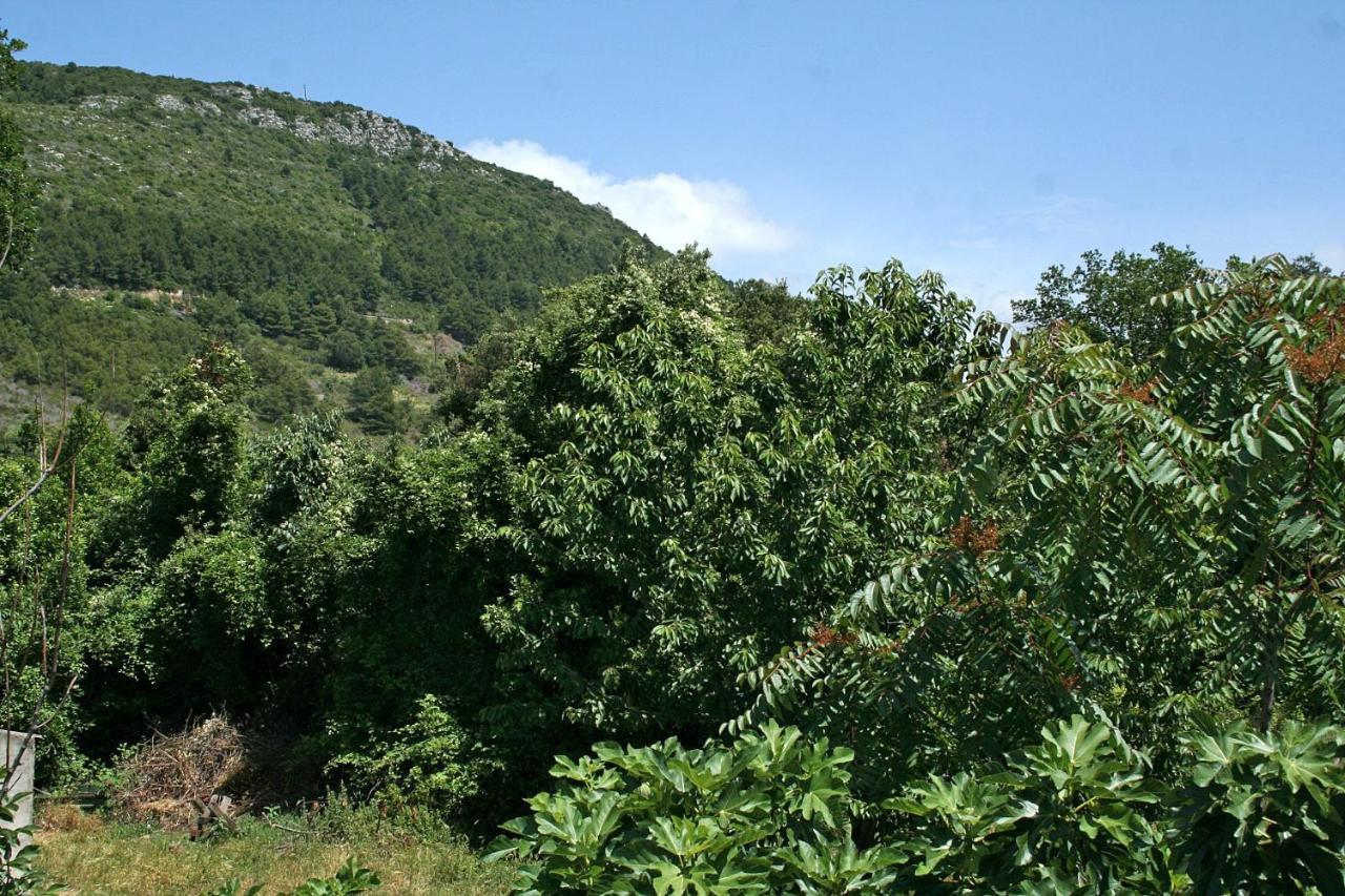 Apartments With A Parking Space Zuljana, Peljesac - 4574 Εξωτερικό φωτογραφία