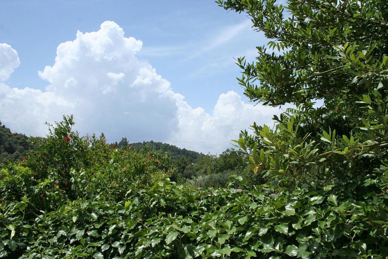Apartments With A Parking Space Zuljana, Peljesac - 4574 Εξωτερικό φωτογραφία